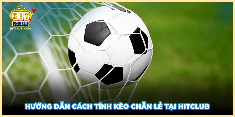 Hướng dẫn cách tính kèo chẵn lẻ tại HITCLUB