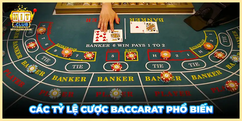 Các tỷ lệ cược Baccarat phổ biến 